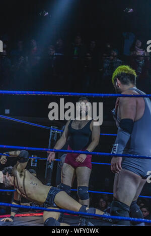 Chili wrestling CNL. Campeonato Nacional de Lucha Libre. Mallet Profesionales Luchadores. En el ring vemos con el cabello verde un végétalien, El Mesías Vengano une Valentín Bravo y en el suelo un Ariel Levy. Banque D'Images