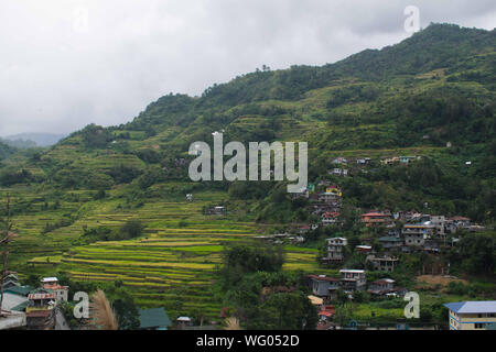 25 août 2019 PHILIPPINES IFUGAO BANAUE- : les maisons construites à flanc de montagne en entre les rizières en terrasses de Banaue Ifugao. Banque D'Images