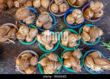 Coco frais vendu en part de marché KR situé à Bangalore qui est l'un des plus anciens et des plus importants marchés en Inde Banque D'Images