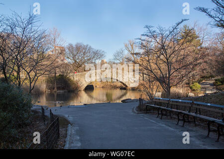 Canards dans l'étang avec le Gapstow Bridge en arrière-plan, Central Park, New York City. Banque D'Images