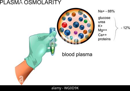Vector illustration de l'osmolarité du plasma sanguin, composition Illustration de Vecteur