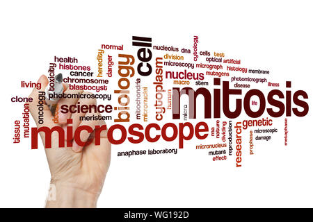 La mitose mot concept cloud Banque D'Images