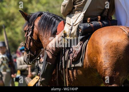 Un homme en uniforme confédéré mener un cheval au combat pendant la guerre civile reenactment Banque D'Images