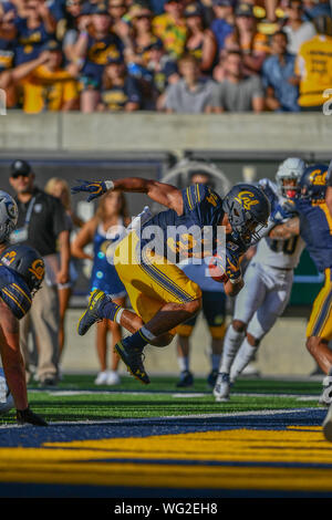 31 août 2019 : California Golden Bears d'utiliser de nouveau Christopher Brown Jr. (34) chefs de la fin de la zone au cours de la NCAA football match entre l'UC Davis Aggies et le cal au California Memorial Stadium à Berkeley, Californie. Chris Brown/CSM Banque D'Images