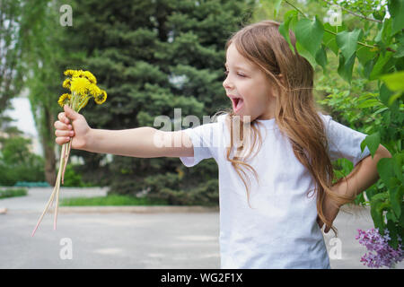 Petite fille émotionnelle de l'âge scolaire détient un bouquet de pissenlits jaunes sur un bras tendu. Elle porte un T-shirt blanc et criant avec DEL Banque D'Images