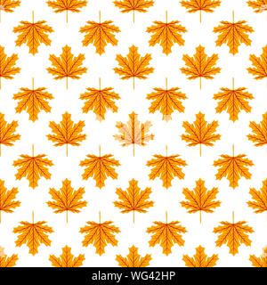 Belles feuilles d'Érable à la main mélanger avec ligne moderne en forme d'érable et les feuilles d'automne une couche vectorielle de l'élément de modèle pour la mode,et,en tissu Illustration de Vecteur