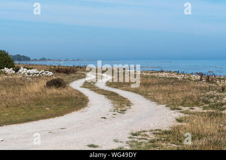 Route de gravier sinueuses le long de la côte de l'île de Oland en Suède Banque D'Images