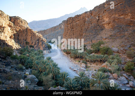 Sultanat d'Oman, Al Dakhiliyah, région des monts Hajar Occidental, Wadi Nakhr, le grand canyon Banque D'Images