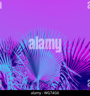 Branches de palmier sous le ciel dans les tons violet et bleu néon couleurs dans le style pop art Banque D'Images