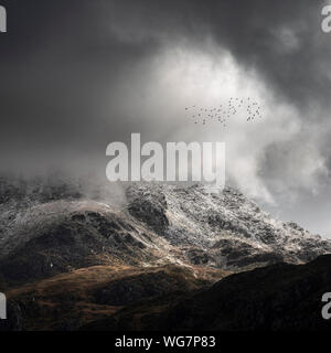 Moody magnifique paysage d'hiver spectaculaire image de sommets de montagnes de Snowdonia en Tryfan pendant un temps orageux avec des oiseaux de haut vol au-dessus Banque D'Images