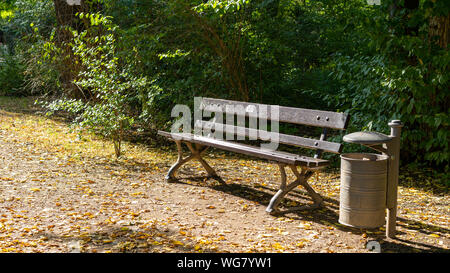 Seul un banc dans le parc Grosser Garten Dresden, Allemagne pendant le coucher du soleil. Une poubelle se trouve en vis-à-vis. feuilles sont couvrir le chemin en face de l'unu Banque D'Images