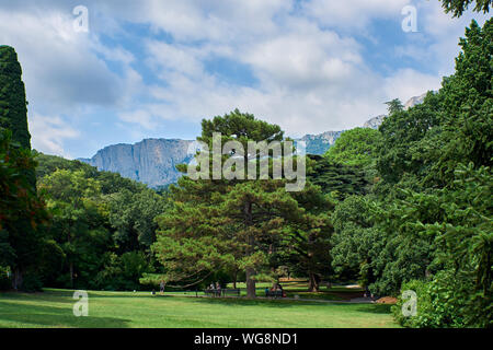 Les gens se reposant dans le parc, sous un gros pin sur un fond de montagnes. Banque D'Images