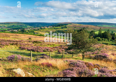 L'été dans le North York Moors National Park dans le Yorkshire, à la recherche à travers la lande jusqu'au village de Castleton Banque D'Images