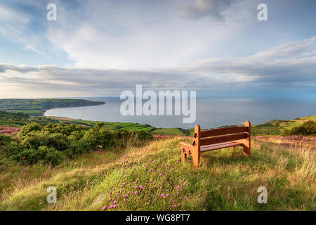 Un banc en bois face à la mer au-dessus de Ravenscar sur le Yorkshire Coast et à Robin Hood's Bay Banque D'Images