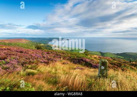 L'été sur le North York Moors national park dans le Yorkshire, de Ravenscar surplombant la baie de Robin Hood Banque D'Images