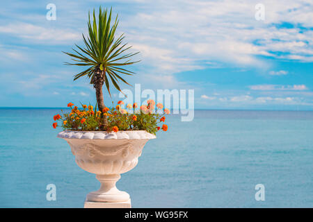 Pot de fleurs blanches avec des fleurs et des palmiers décoratifs sur l'arrière-plan de la mer d'azur Banque D'Images