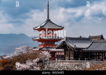 Pagoda et Zuigudo-Hall du temple Kiyomizu-dera à la fleur de cerisier, temple bouddhiste, les touristes en face de la pagode, Higashiyama, Kyoto Banque D'Images