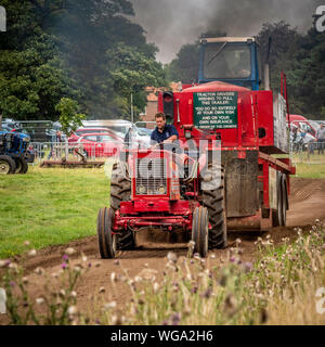 Défi de traction du tracteur. Tracteur faisant glisser un chariot métallique le long d'une piste contenant une boîte remplie de poids. Banque D'Images