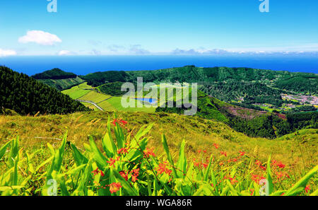 Lagoa Rasa, île de São Miguel, Açores, Portugal, Europe. Banque D'Images