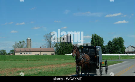 Vue d'un Cheval et buggy Amish en descendant la route sur une journée ensoleillée Banque D'Images