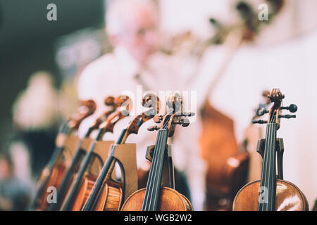 Plus de détails avec la molette, le chevillier, cordes, chevilles, cou et une touche d'un violon avant un concert de musique classique symphonique Banque D'Images