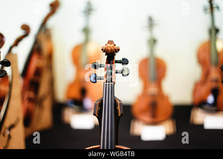 Plus de détails avec la molette, le chevillier, cordes, chevilles, cou et une touche d'un violon avant un concert de musique classique symphonique Banque D'Images