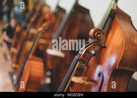 Plus de détails avec la molette, le chevillier, cordes, chevilles, cou et une touche d'un violon avant un concert de musique classique symphonique Banque D'Images