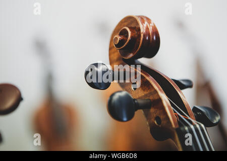 Plus de détails avec la molette, le chevillier, cordes, chevilles, cou et une touche d'un violon avant un concert de musique classique symphonique Banque D'Images