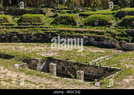 Vieux cultivé avec des escaliers d'herbe des ruines anciennes d'Anfiteatro Romano Syracuse Banque D'Images