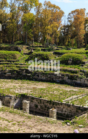 Vieux cultivé avec des escaliers d'herbe des ruines anciennes d'Anfiteatro Romano Syracuse Banque D'Images