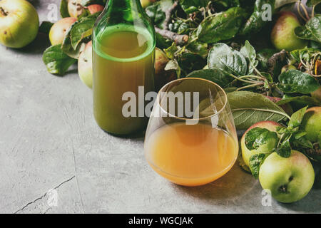 Bouteilles verre ang de cidre boisson à faible teneur en alcool avec des pommes de jardin avec des feuilles et des branches sur la texture gris table. Close up. La récolte de l'automne accueil Banque D'Images