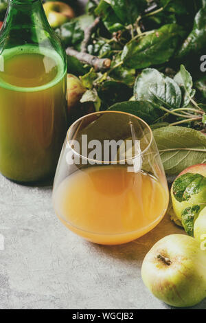 Bouteilles verre ang de cidre boisson à faible teneur en alcool avec des pommes de jardin avec des feuilles et des branches sur la texture gris table. Close up. La récolte de l'automne accueil Banque D'Images