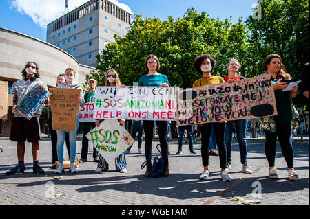 Un groupe de personnes portant des masques tout en tenant des pancartes, pendant la manifestation.Brésiliens vivant dans les Pays-Bas ont organisé une manifestation de solidarité avec les protecteurs de la forêt et contre le président du Brésil, Jaïr. Bolsonaro Autour de cinquante personnes se sont réunies à La Haye pour montrer leur soutien. Banque D'Images