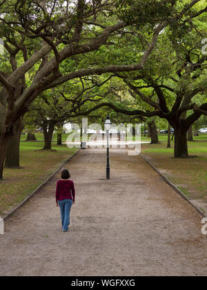 Femme marche vers le bas chemin bordé d'arbres à Charleston, Caroline du Sud Banque D'Images