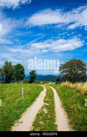 L'Allemagne, aux côtés d'arbres et de prés sur le haut d'une montagne dans le paysage naturel de la forêt noire près de Freiburg im Breisgau Banque D'Images