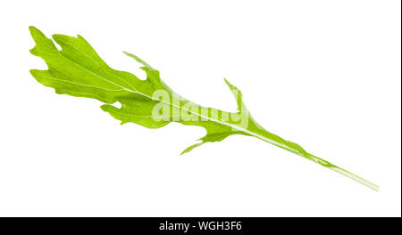 Des feuilles fraîches (mizuna moutarde japonaise) plant isolé sur fond blanc Banque D'Images