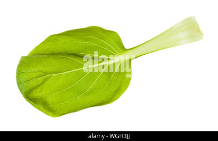 Des feuilles fraîches de bok choy ( pak choi) chou chinois isolé sur fond blanc Banque D'Images