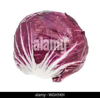 Tête de feuilles de radicchio (chicorée italienne) isolé sur fond blanc Banque D'Images