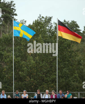 01 septembre 2019, Basse-Saxe, Luhmühlen : sport équestre, Equitation, European Championships : le suédois et allemand sont les drapeaux battant dans le stade. Photo : Friso Gentsch/dpa Banque D'Images