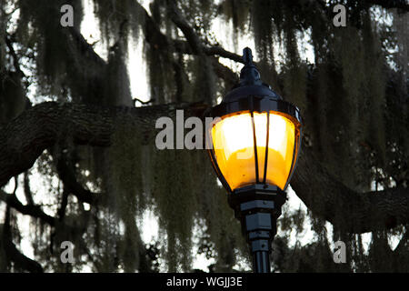 Lampe de rue au crépuscule avec la mousse espagnole. Banque D'Images