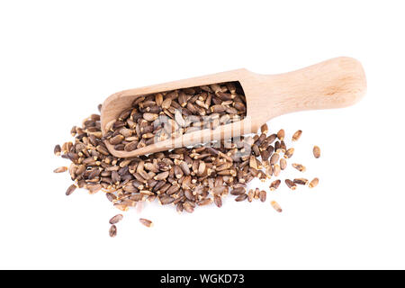 Graines de chardon de lait dans une cuillère en bois, isolé sur fond blanc. Silybum marianum, chardon écossais ou Marian Thistle. Close-up. Banque D'Images