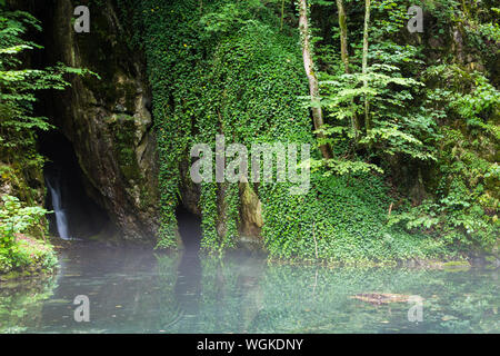 Rock Spring Szikla-forrás avec brouillard sur l'eau après la pluie dans le Parc National, Bükki-völgy Szalajka Vallée Szalajka, Hongrie Banque D'Images