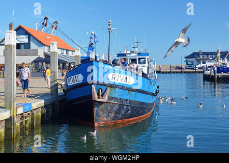 Bleu bateau appelé "rival", ancré au port d''Oudeschild avec personnes à bord offrant des excursions de pêche sportive pour les touristes sur l'île Texel Banque D'Images