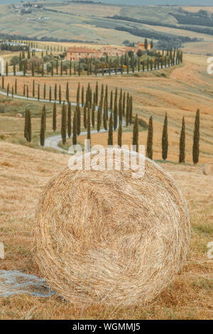 Toscane, Italie - 10 juin 2019 : le ballot de paille en face de paysage typique de la Toscane avec des routes de campagne et de cyprès Banque D'Images