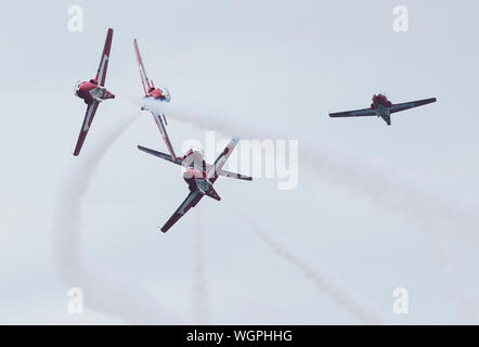 Toronto, Canada. Du 1er septembre 2019. La Royal Canadian Air Force Snowbirds effectuent au cours de la 2019 Canadian International Air Show de Toronto, Canada, le 1 septembre, 2019. L'événement annuel est tenu ici à partir de 31 août au 2 septembre. Source : Xinhua/Zheng Zou Banque D'Images