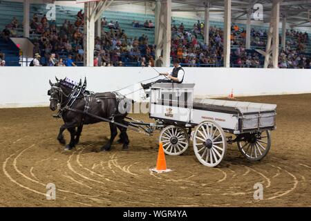 Un concurrent dans le projet de l'équipe d'ouvrir la concurrence au volant, à la foire de l'état de l'Oregon à Salem, Oregon, USA. Banque D'Images