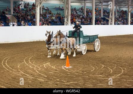 Un concurrent dans le projet de l'équipe d'ouvrir la concurrence au volant, à la foire de l'état de l'Oregon à Salem, Oregon, USA. Banque D'Images