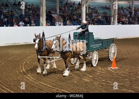 Un concurrent dans le projet de l'équipe d'ouvrir la concurrence au volant, à la foire de l'état de l'Oregon à Salem, Oregon, USA. Banque D'Images