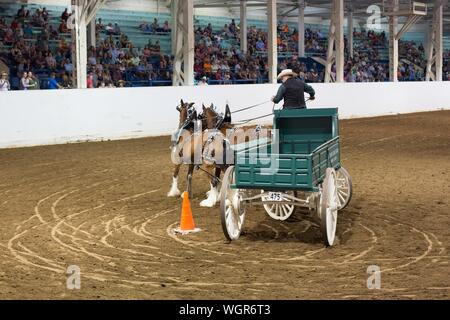 Un concurrent dans le projet de l'équipe d'ouvrir la concurrence au volant, à la foire de l'état de l'Oregon à Salem, Oregon, USA. Banque D'Images