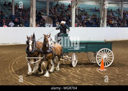 Un concurrent dans le projet de l'équipe d'ouvrir la concurrence au volant, à la foire de l'état de l'Oregon à Salem, Oregon, USA. Banque D'Images